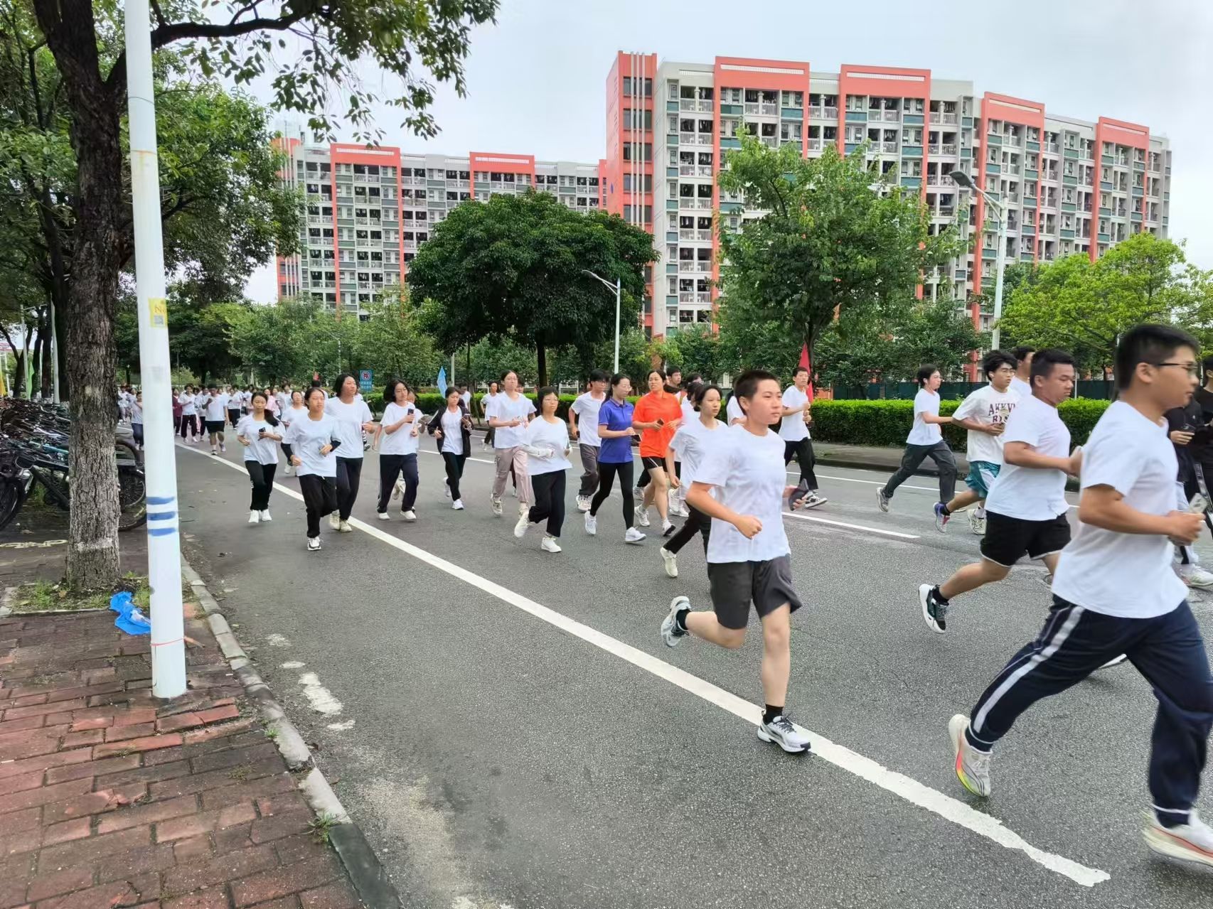 明胜m88官网