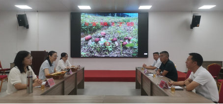 明胜m88官网
